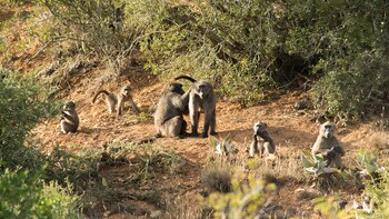 Uno de los mayores aportes