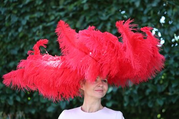 Plumas