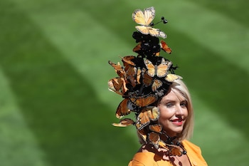 Mariposas
