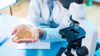 La Ley de Semillas traería