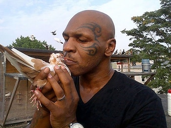 Mike Tyson es uno de