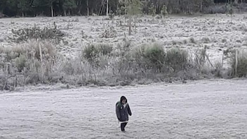 Axel tiene 6 años y