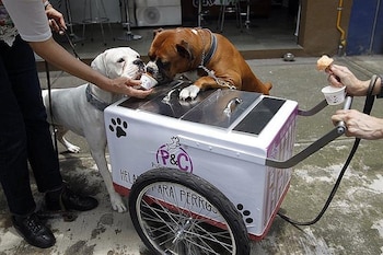 Imagen OSSEODA52BFTZOYYVY6OVSWT3I