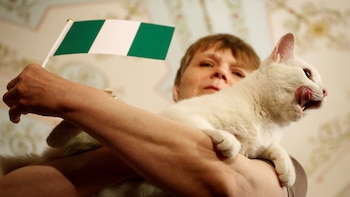 Aquiles es un gato sordo