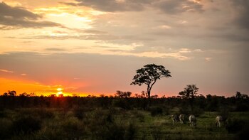 Llanura y atardeceres inconmensurables. Hace