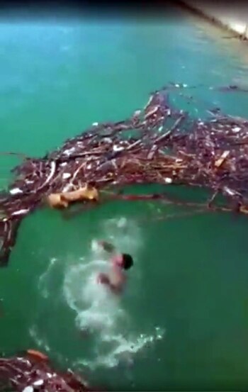 Por su escasa capacidad de