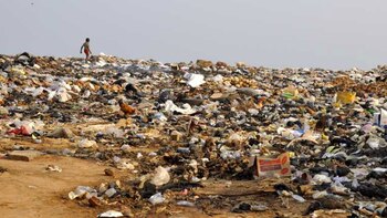 Estimaron que 10 microgramos por