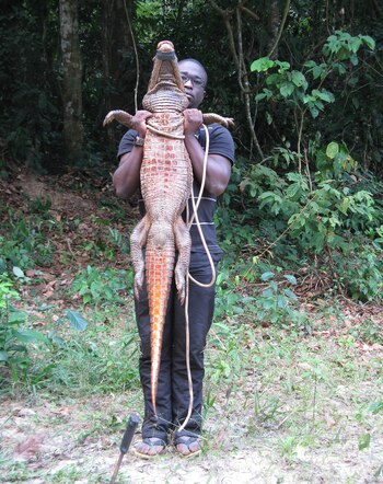 Un investigador muestra un ejemplar