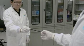 Científicos de la Universidad de