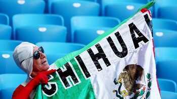 En su último partido, México cayó por goleada ante Suecia