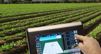 Estas generaciones durante muchos años