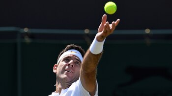 Juan Martín del Potro superó