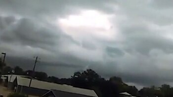 El video se volvió viral