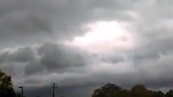 Solo Dolo transmitió el video