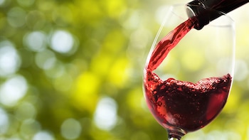 Plenilunium es el mejor calificado