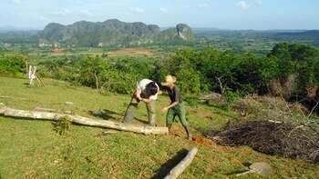 En 2015 Ruiz Urquiola compró