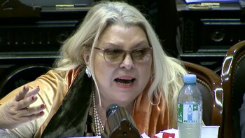 La diputada Elisa Carrió