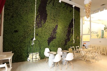 Muebles blancos, sillas de madera