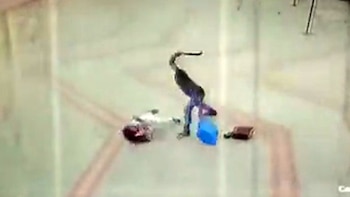 El hombre le pegó con