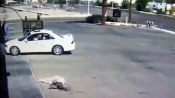 El automovilista dejó al ciclista