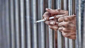 El proyecto arrancó en la