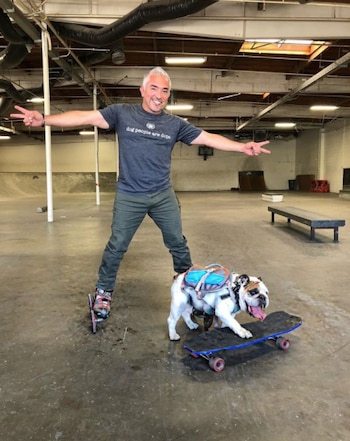 César Millan conduce el programa