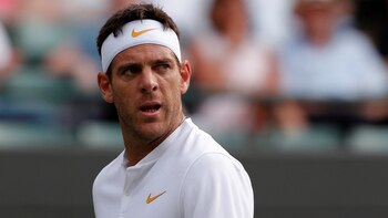 Juan Martin Del Potro (REUTERS/Andrew