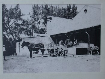Recepción de uvas en bodega