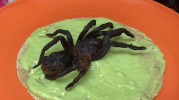 Fotos por Pável Gaona