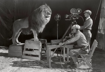 El “backstage” del famoso rugido