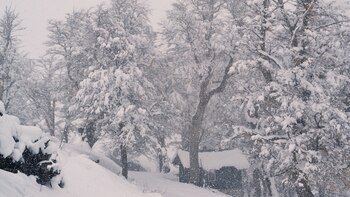 Villa La Angostura están sin
