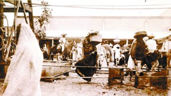 La gente, alentada por los revolucionarios maderistas, saquearon comercios y casas de los chinos.