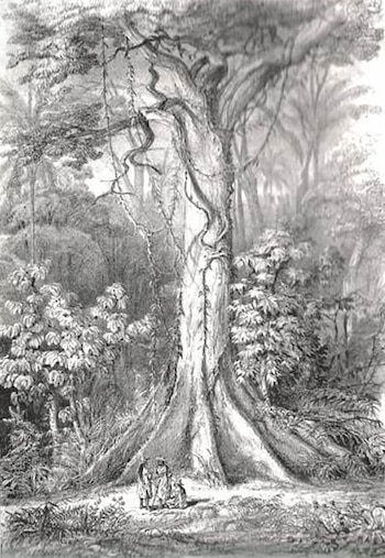 El exótico paisaje del oriente