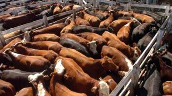 En medio de tantas idas