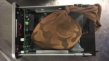 La pitón fue detectada en