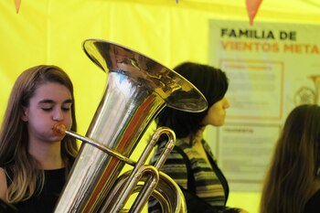 Los chicos pueden aprender sobre