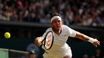 Del Potro y otra batalla