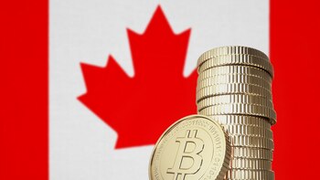 El 12% de los encuestados