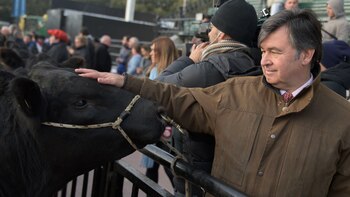 El primer animal fue recibido por Daniel Pelegrina, presidente de la SRA (Adrián Escandar)