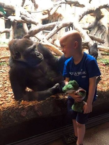 Garrett Matthias en el zoológico