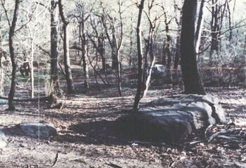 Por este lugar Matías Reyes