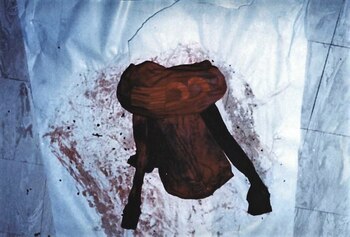 La remera que usó Trisha