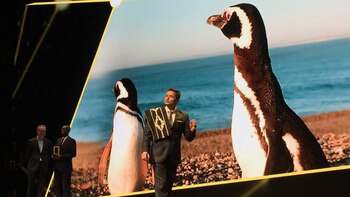 Pablo logró que se creara