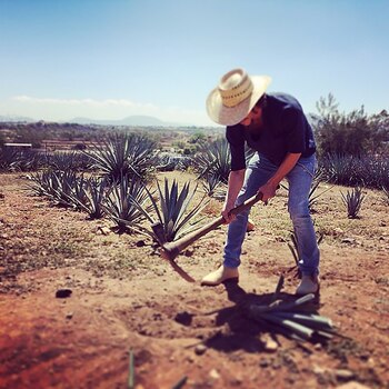 En su tiempo libre, se
