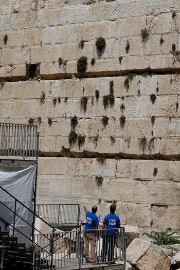 Trabajadores supervisan la zona del