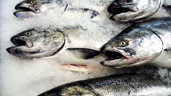 Foto vía Flickr, usuario Julia