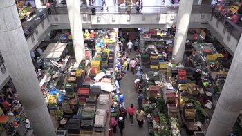 El Parlamento advirtió que la