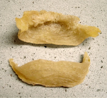 Creative commons, Kowloonese