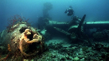 El buzo asegura que devolver