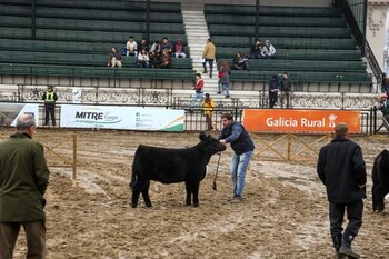 “La preparación de un animal